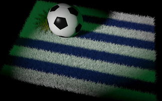 kaiyun.com-中国足球国家队备战世界杯预选赛全面展开，中国足球队 世界杯预选赛