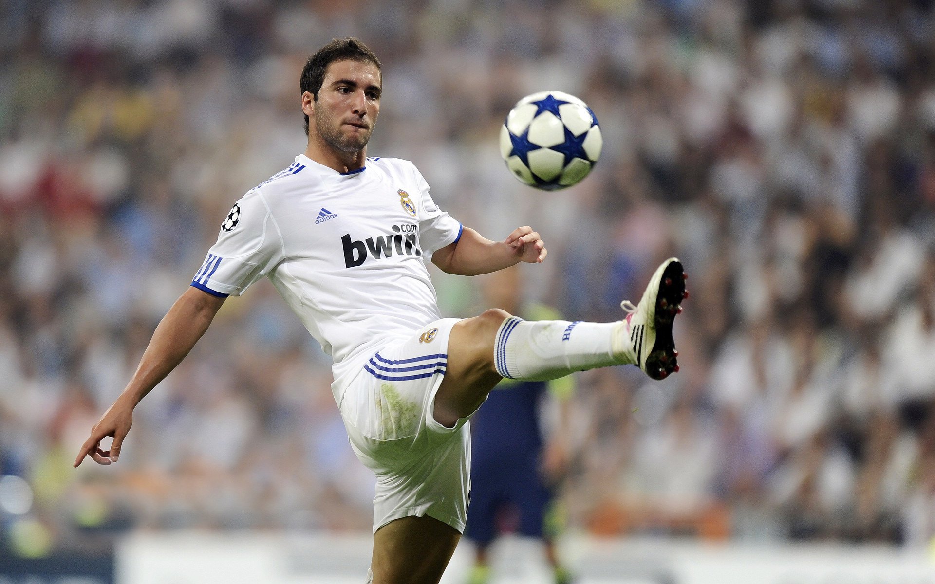 开云·体育官网-哈兰德打破纪录？49场50球对比C罗141球还有多远？，哈兰德谈c罗